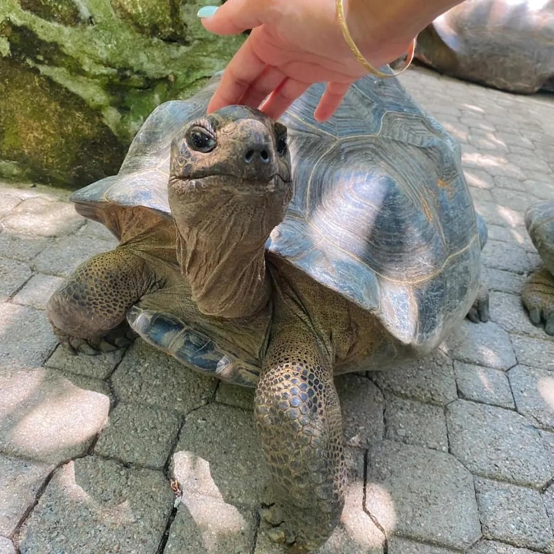 IMG_20220817_185650_316