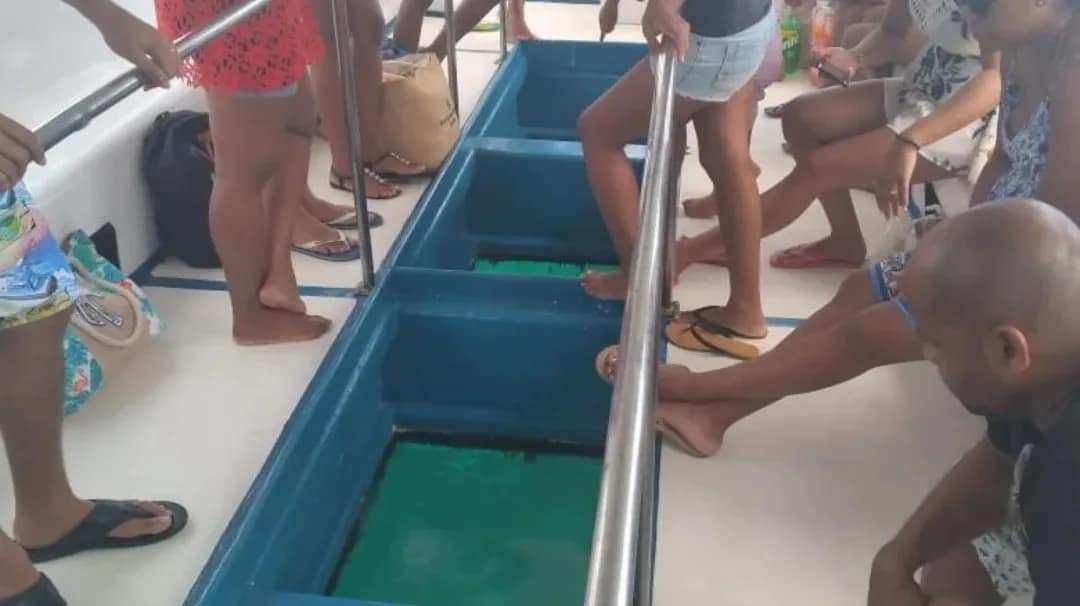 IMG_20220826_155504_893