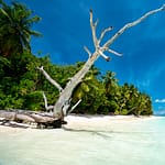 Beach in Seychelles