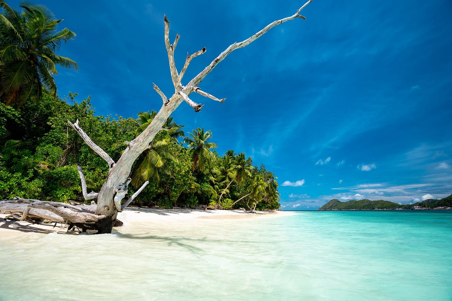Beach in Seychelles