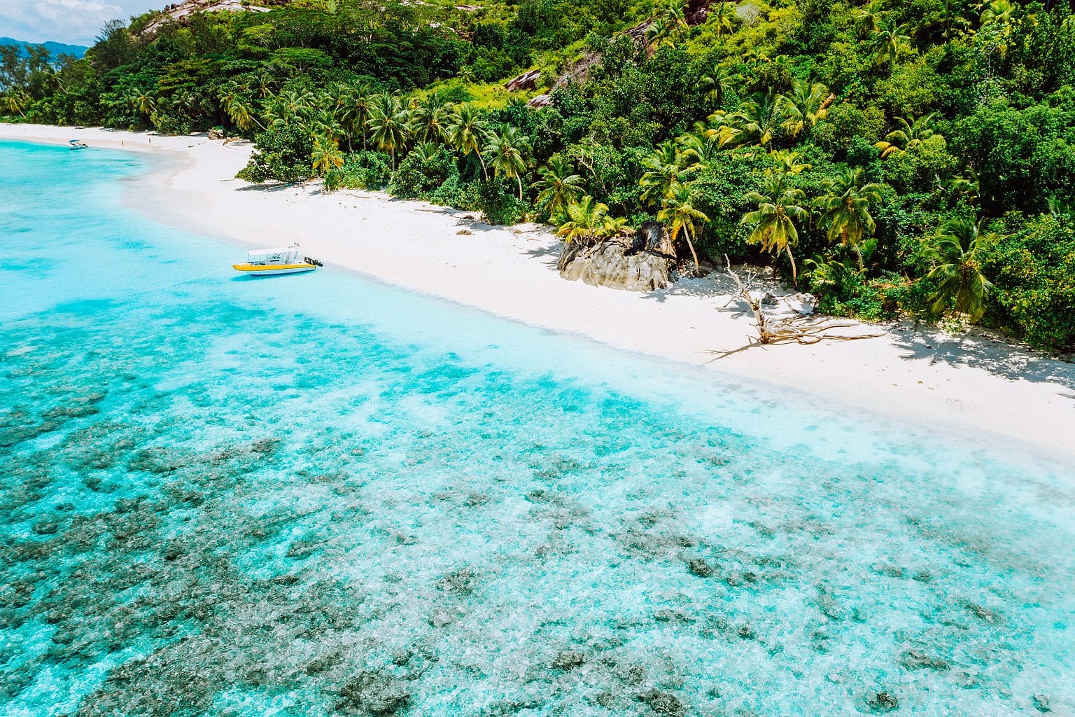 SSUCv3H4sIAAAAAAAACoRV226cMBB9r9R/iPzcVRhjbNy3/kBTNW0fWlWVAe+uE8AIzKZVlH/vcDFrSDbZF9ZnjufiM2M/vn93dUUy1ZmcfLx6HFa4NmXZd65Vztga4ejDjLe6LnQbIrowzrZGlSGYKZcfa1VpBOu+LAf4aTSSzinXd7oLguUYylZ710CEKFs8dw0uwS8b89cpBGIPqMJmGnfm9yHa2LpIQuBkCm2zEmldCBe6sZ1xzdE6uzKoUlX/QiBX9RhlpK5ctFpVnTNjmQvaHXvndPsssRzZzpx0pdp77UJLZg4vBwAat/sQqGx3zng5meX84gENzjpXTh9QnNVpe6l/Tesrb5hrHTIjn1GjVpM5wFRWnw2WW62ub3Kt6uuvWEtLPGOKeMHdFyy5u77pXWFt+5LXs5vpz+9FjIOu80GNx6egrlaXWk099GuikvsHPPNqrHMmqb4wNqj7ZHNVjkoHnprW5KY+BNusO44NvjSn7WvXDikQSFOfPCmtbVRWDsrv0a32+FF1He4oPB6qMcoUhKqtG2sgk1dSoFxjnJhCBJIyKTmDmMeUhLNzNOhnzMjn2DelVYUegi6nv8wLJIlMogRS30Xb0ZkJMedngp8ibxO+2Z4NlGdIcWZsZ2vmsCgNUpjHzNtYkN524jwnkUGMcPg8IQ1K2MzhROH4OVP8fE22NE3p2bYeNSTINEZVgiRXU5fwREAqEjrZ/TgMDV4ZzGOtzbO7YM4uocmrInEexW9VyEG8ekqcU7gkNOeJv36fdRDnUr4lERdA32oDIVig0vbum6VgNL0gE2AQeqGNJG6LX2vUNIpi5iVaPUpIMsXqUdpKNLxjLz49hAoARjH6cjtslCHfgQMVQkgJC2clDQEmmaA0uGG8MgQiiTVH4rzVC0MSSuNh52LZykJEhD3PYL5BXhAFs8eoksM58lYTEkeMUY4X0kLxkpCDKvWdAswwwp9YCF4XolPst7yIdwBJtmOayZ1iTO8KgDhWmRR5vjw0G8XI7bfyzydpfkY/7h72RVGd+vGhmEUzw0wR4FwkkMOOMtjv2F6Jncqj/Q4QTGDPBOcadz39BwAA//8DAPcJgDXoCAAA