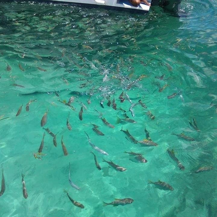 IMG_20220817_185703_684