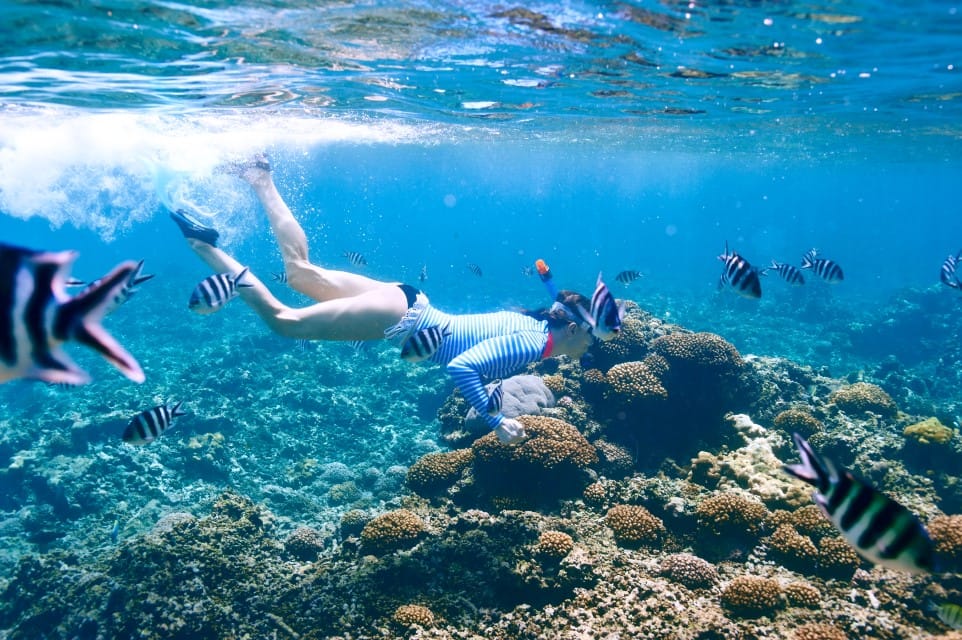 Ste Anne Snorkelling